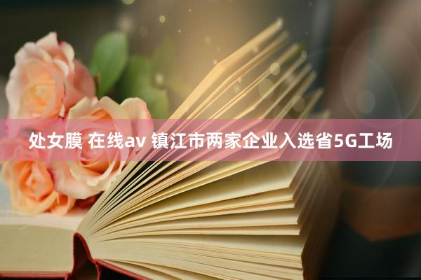 处女膜 在线av 镇江市两家企业入选省5G工场