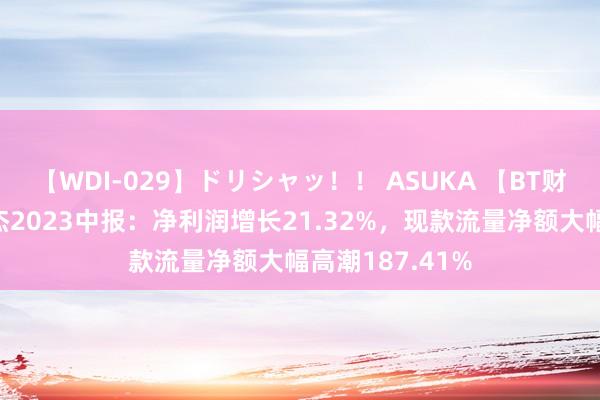 【WDI-029】ドリシャッ！！ ASUKA 【BT财报瞬析】嘉麟杰2023中报：净利润增长21.32%，现款流量净额大幅高潮187.41%