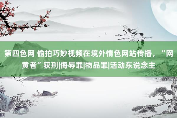 第四色网 偷拍巧妙视频在境外情色网站传播，“网黄者”获刑|侮辱罪|物品罪|活动东说念主