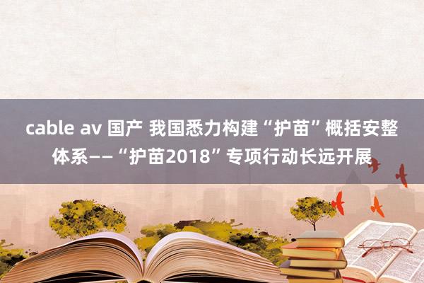 cable av 国产 我国悉力构建“护苗”概括安整体系——“护苗2018”专项行动长远开展