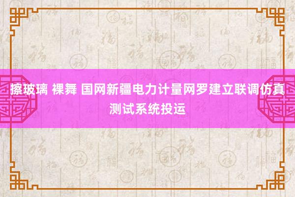 擦玻璃 裸舞 国网新疆电力计量网罗建立联调仿真测试系统投运