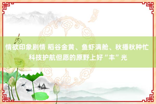 情欲印象剧情 稻谷金黄、鱼虾满舱、秋播秋种忙 科技护航但愿的原野上好“丰”光