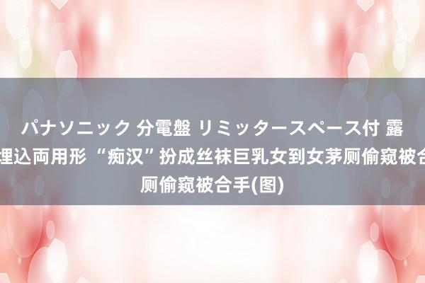 パナソニック 分電盤 リミッタースペース付 露出・半埋込両用形 “痴汉”扮成丝袜巨乳女到女茅厕偷窥被合手(图)