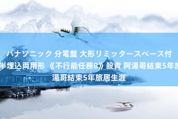 パナソニック 分電盤 大形リミッタースペース付 露出・半埋込両用形 《不行能任務8》殺青 阿湯哥結束5年旅居生涯