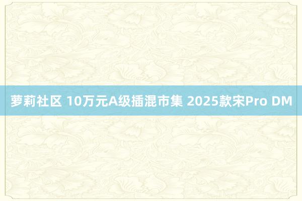 萝莉社区 10万元A级插混市集 2025款宋Pro DM