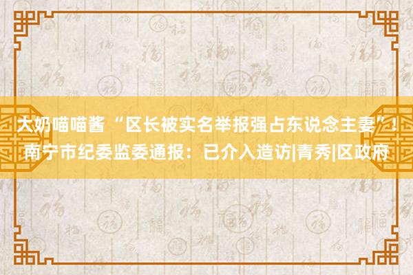 大奶喵喵酱 “区长被实名举报强占东说念主妻”！南宁市纪委监委通报：已介入造访|青秀|区政府