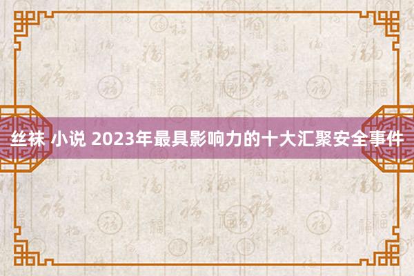 丝袜 小说 2023年最具影响力的十大汇聚安全事件