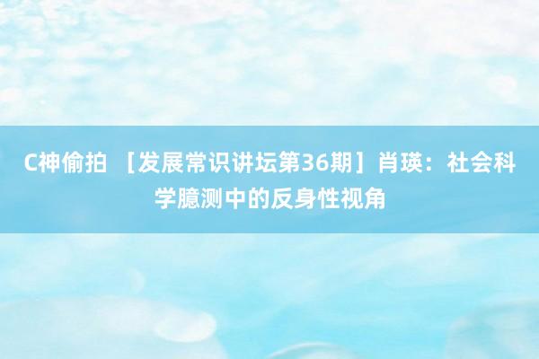 C神偷拍 ［发展常识讲坛第36期］肖瑛：社会科学臆测中的反身性视角