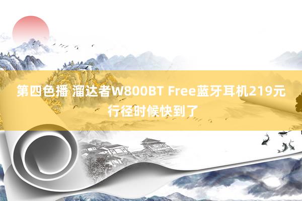 第四色播 溜达者W800BT Free蓝牙耳机219元 行径时候快到了