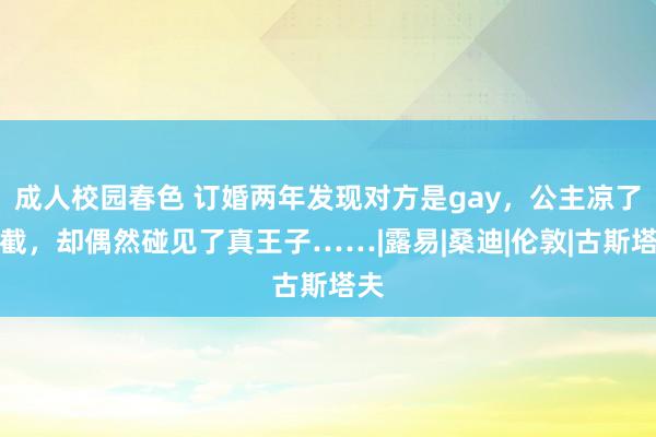 成人校园春色 订婚两年发现对方是gay，公主凉了半截，却偶然碰见了真王子……|露易|桑迪|伦敦|古斯塔夫