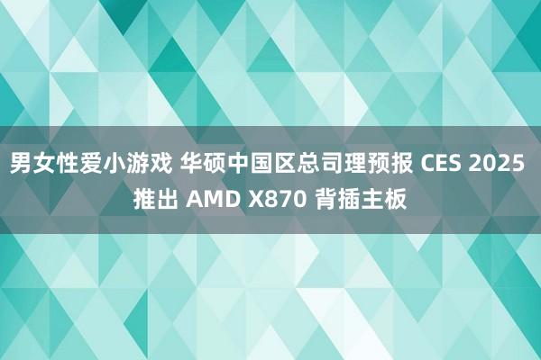 男女性爱小游戏 华硕中国区总司理预报 CES 2025 推出 AMD X870 背插主板