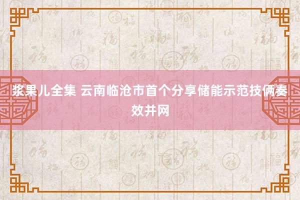 浆果儿全集 云南临沧市首个分享储能示范技俩奏效并网