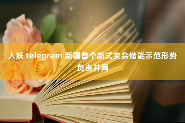 人妖 telegram 新疆首个新式夹杂储能示范形势负责并网