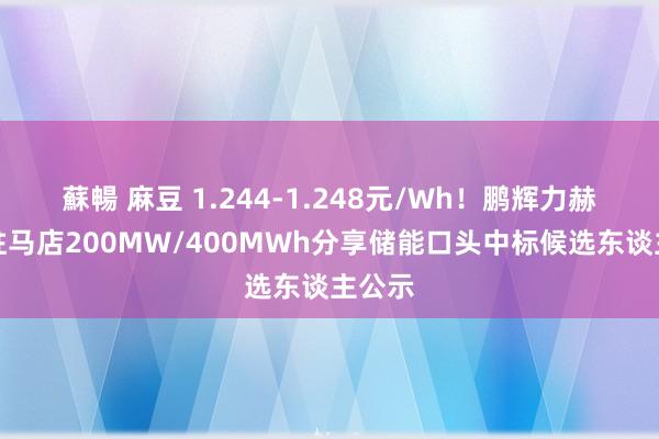 蘇暢 麻豆 1.244-1.248元/Wh！鹏辉力赫河南驻马店200MW/400MWh分享储能口头中标候选东谈主公示